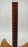 Rickenbacker 330/6 , Mapleglo: Neck - Front