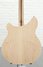 Aug 2017 Rickenbacker 360/6 , Mapleglo: Body - Rear