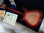 Rickenbacker 660/12 TP, Fireglo: Full Instrument - Rear