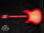 Rickenbacker 330/6 , Fireglo: Full Instrument - Rear