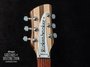 Rickenbacker 330/6 , Mapleglo: Headstock