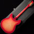 Rickenbacker 1993/12 Plus, Fireglo: Full Instrument - Rear