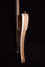 Rickenbacker 4003/4 , Mapleglo: Free image