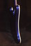 Rickenbacker 4003/4 , Midnightblue: Free image2