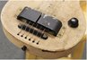Rickenbacker 59/6 LapSteel, Cream: Close up - Free