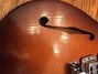 Rickenbacker 320/6 f hole, Walnut: Close up - Free