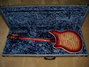 Rickenbacker 360/6 CW, Fireglo: Full Instrument - Rear