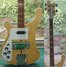Rickenbacker 4001/4 , Mapleglo: Body - Front