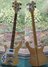 Rickenbacker 4001/4 , Mapleglo: Full Instrument - Front