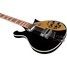 Rickenbacker 660/6 , Jetglo: Neck - Front