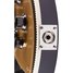 Rickenbacker 660/6 , Jetglo: Close up - Free