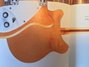 Rickenbacker 360/12 , Mapleglo: Body - Rear