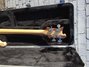 Rickenbacker 4003/4 S, Mapleglo: Headstock - Rear