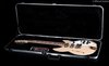 Rickenbacker 1993/12 Plus, Mapleglo: Free image