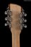 Rickenbacker 1993/12 Plus, Mapleglo: Headstock - Rear