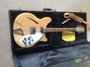 Rickenbacker 360/12 , Mapleglo: Close up - Free2