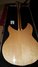 Rickenbacker 330/6 , Mapleglo: Full Instrument - Rear