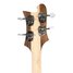 Rickenbacker 4003/4 , Natural Walnut: Headstock - Rear