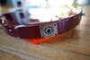 Rickenbacker 4000/4 , Burgundy: Close up - Free