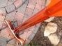 Rickenbacker 4005/4 , Fireglo: Neck - Rear