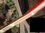 Rickenbacker 4005/4 , Fireglo: Close up - Free2