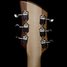 Rickenbacker 660/6 , Mapleglo: Headstock - Rear