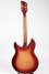 Rickenbacker 330/6 , Fireglo: Full Instrument - Rear