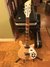 Rickenbacker 620/6 , Mapleglo: Full Instrument - Front