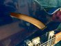 Rickenbacker 330/12 , Midnightblue: Free image