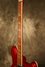 Rickenbacker 360/12 , Ruby: Neck - Front