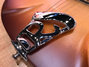Rickenbacker 370/6 Limited Edition, Autumnglo: Free image2