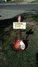 Rickenbacker 1995/6 RoMo, Fireglo: Full Instrument - Front