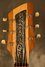 Rickenbacker 425/6 Combo, Black: Free image2