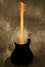 Rickenbacker 425/6 Combo, Black: Full Instrument - Rear