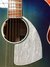 Rickenbacker 700/6 PW Build (acoustic), Blueburst: Full Instrument - Rear