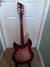 Rickenbacker 330/6 , Fireglo: Full Instrument - Rear