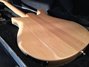 Sep 2013 Rickenbacker 620/6 , Mapleglo: Body - Rear