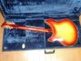Rickenbacker 360/12 C64, Fireglo: Full Instrument - Rear