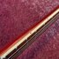 Rickenbacker 230/6 Mod, Fireglo: Neck - Front