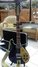 Rickenbacker 660/12 , Midnightblue: Full Instrument - Front