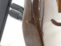 Rickenbacker 650/6 Frisco, Vermillion: Free image2