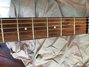 Rickenbacker 1998/6 RoMo, Fireglo: Neck - Front