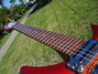 Rickenbacker 1996/6 f hole, Fireglo: Neck - Front