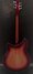Rickenbacker 360/6 , Fireglo: Full Instrument - Rear