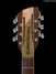 Rickenbacker 660/12 , Mapleglo: Headstock