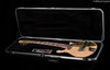 Rickenbacker 660/12 , Mapleglo: Free image