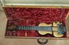 Rickenbacker BD/6 Bronson, Brown: Full Instrument - Front