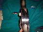 Rickenbacker 59/6 LapSteel, Gray Sunburst: Free image