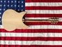 Rickenbacker 330/6 , Mapleglo: Full Instrument - Rear