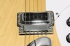 Rickenbacker 620/6 , Mapleglo: Free image
